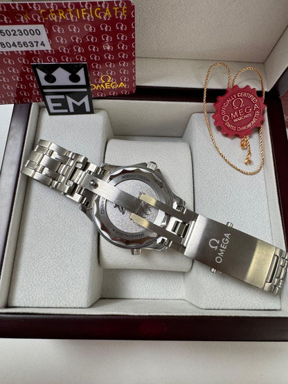Omega Seamaster